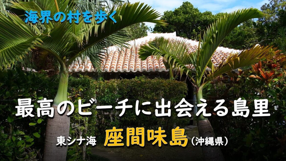 最高のビーチに出会える島里／海界 東シナ海 座間味島（沖縄県）
