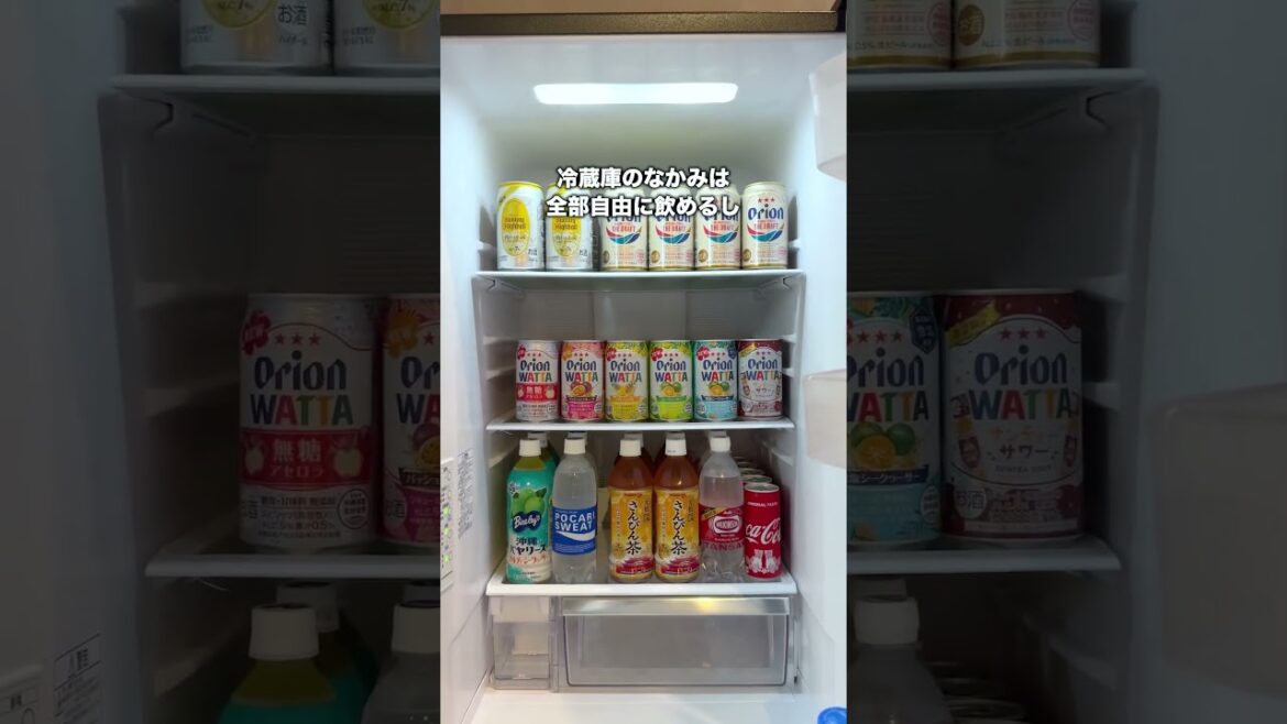 15分も過ごせないアツすぎホテルに行ってきた #shorts 15分も過ごせないアツすぎホテルに行ってきた #shorts