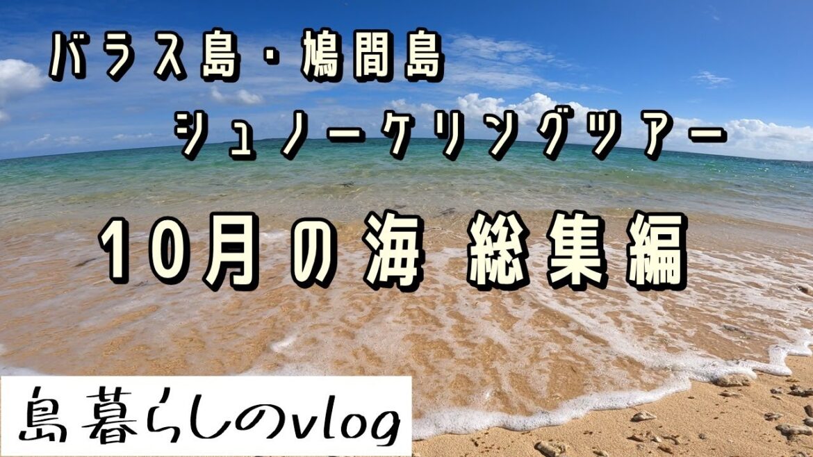 西表島バラス島・鳩間島シュノーケリングツアー/10月総集編/No.246