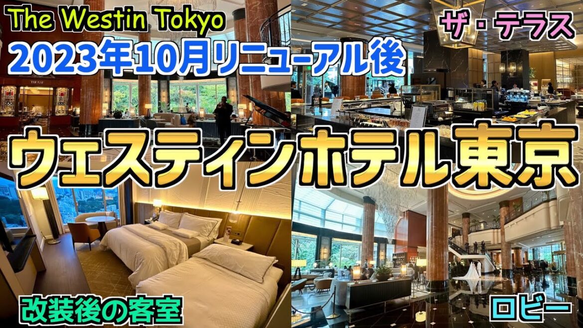 【リニューアル後】ウェスティンホテル東京の改装後の客室&レストラン、ロビー 宿泊費用も公開!2023年10月2日にリニューアルオープン‼️ THE WESTIN TOKYO 【リニューアル後】ウェスティンホテル東京の改装後の客室&レストラン、ロビー 宿泊費用も公開!2023年10月2日にリニューアルオープン‼️ THE WESTIN TOKYO