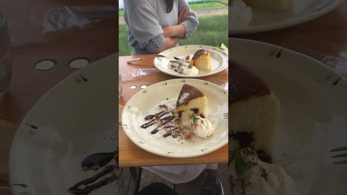 【JAPAN】Delicious Japanese Dessert - Half Boiled Castella Cake