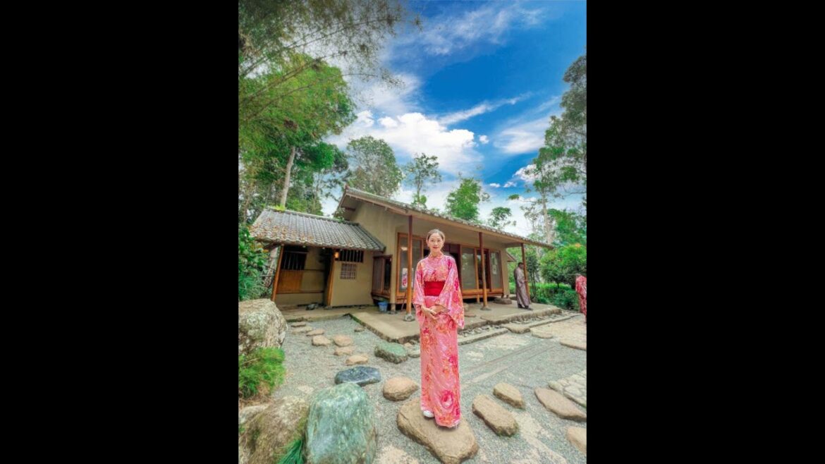 A Tour of the 1st Japanese Village in the Tropical Rainforest! #shorts