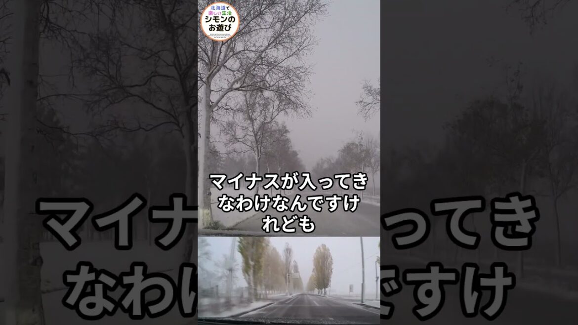 【冬の北海道】初雪が舞い心が踊る!この冬も雪国の魅力を満喫しよう! 【冬の北海道】初雪が舞い心が踊る!この冬も雪国の魅力を満喫しよう!