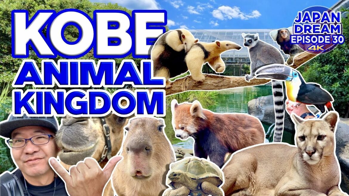 Aloha from KOBE Animal Kingdom! Aloha from KOBE Animal Kingdom!