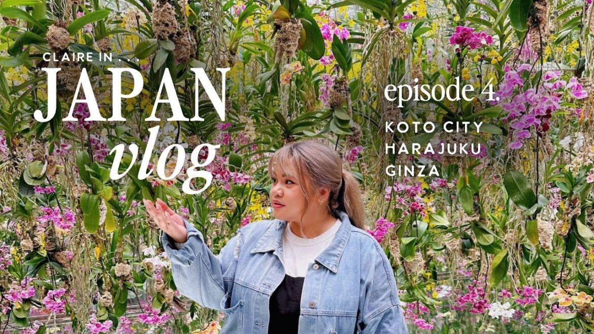 A Rainy Day in Japan ⋮ teamLab Planets, Hedgehog Cafe, + Art Aquarium Museum [Japan Vlog 2023]