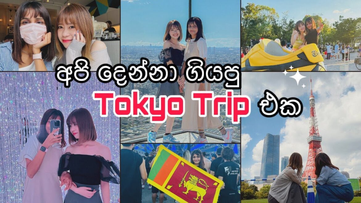 Life in Japan🇯🇵| අපි දෙන්නා ගියපු Tokyo Trip එක | Ultra Japan Music Festival | TeamLabs |Shibuya sky Life in Japan🇯🇵| අපි දෙන්නා ගියපු Tokyo Trip එක | Ultra Japan Music Festival | TeamLabs |Shibuya sky