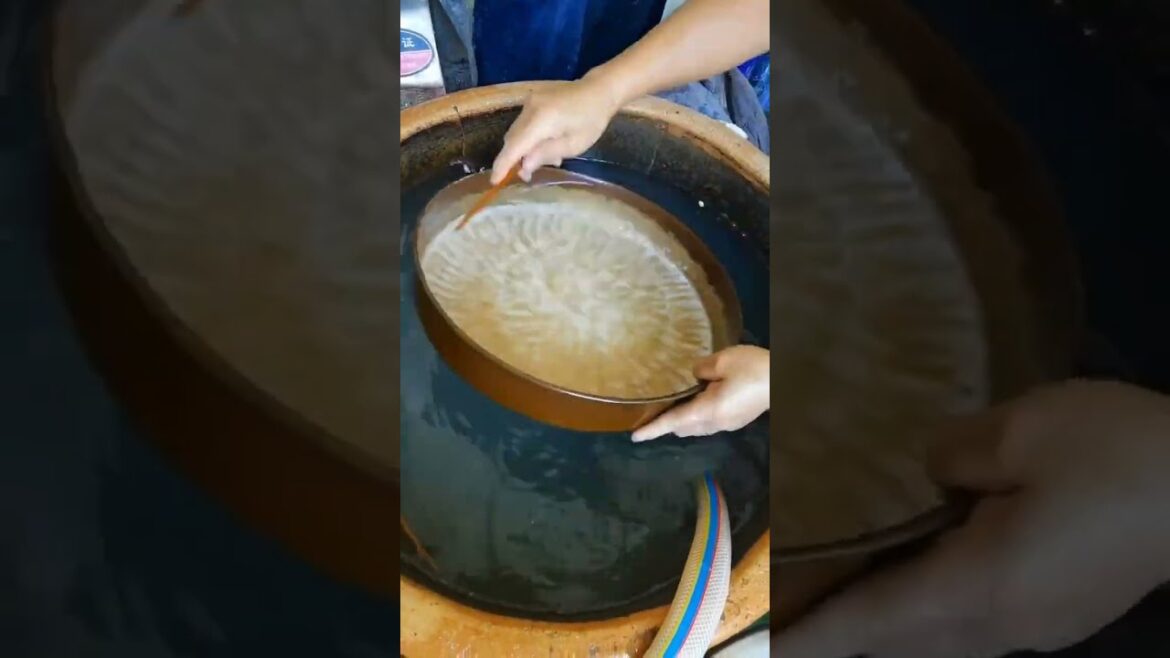 Asian Street foods | Dosa #shots #shreetfood  #shorts  #food #cooking #foodshorts