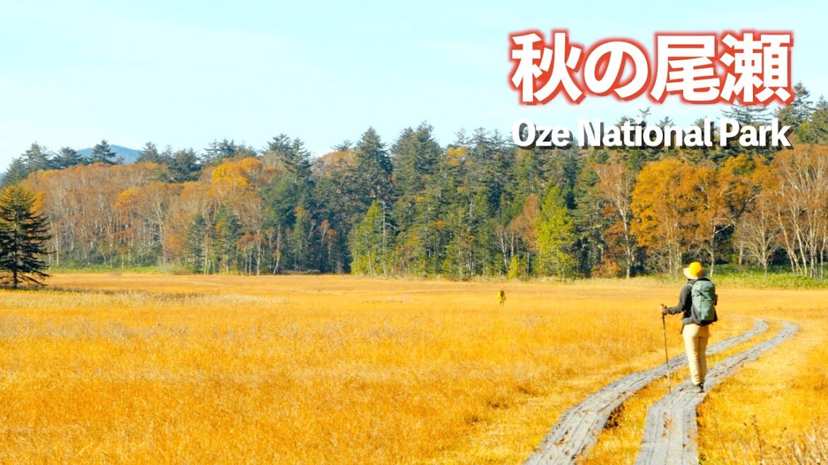 尾瀬って広すぎ!!綺麗ずぎ!!圧倒的景色に絶句した!!｜尾瀬国立公園｜湯ノ花温泉｜ドライブ｜田舎暮らし｜福島県｜4K