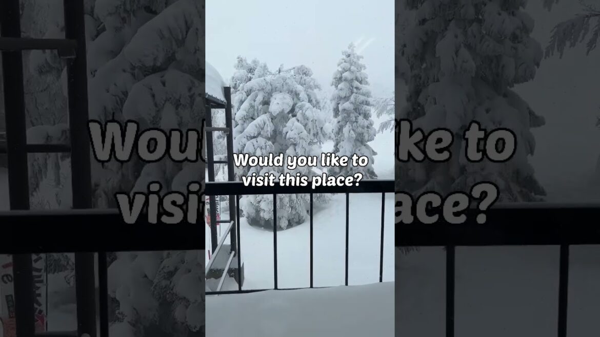 Beautiful location in Japan🇯🇵 #youtubeshorts #ytshorts #traveljapan #travellife #shorts