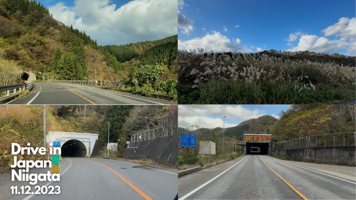 日本ドライブ - 新潟 - 11月13日2023年 | Drive in Japan - Niigata - 11.13.2023