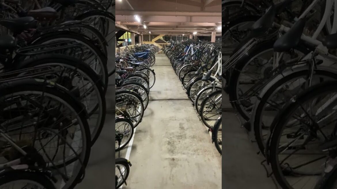 801 Bicycle parking, Chiba