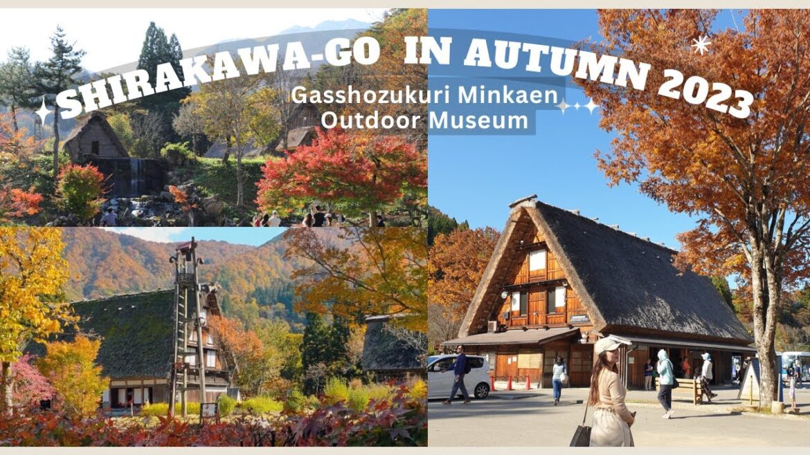 Relaxing Autumn Scenery in Shirakawa-go | Japan Autumn 2023 #Japanautumn