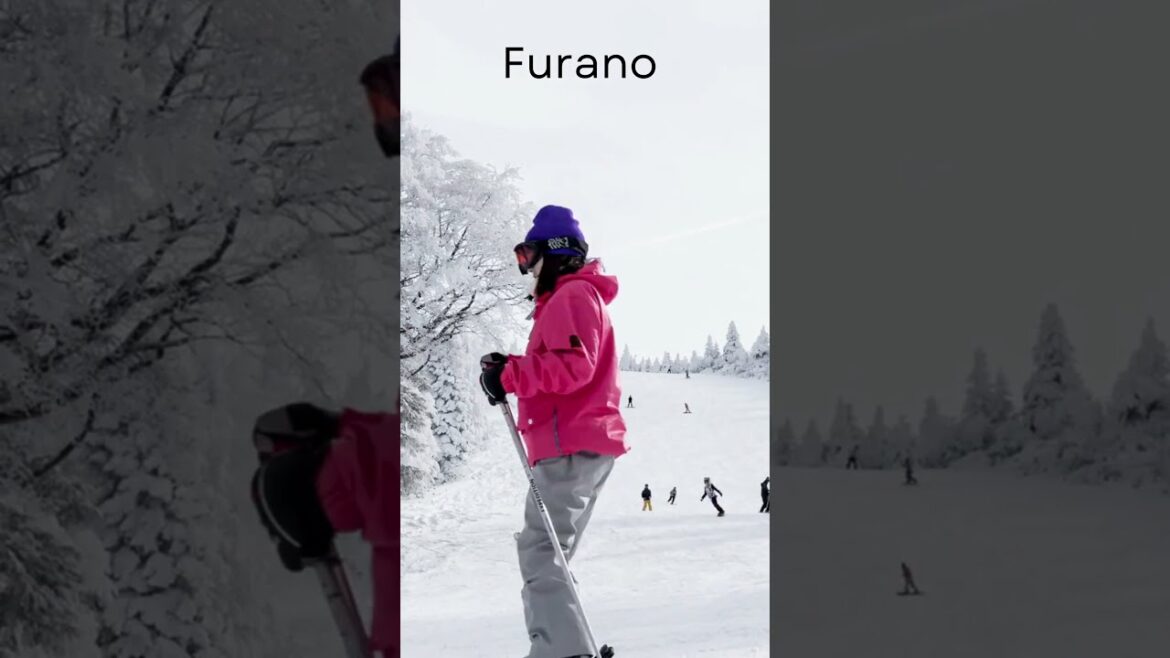 Hokkaido, Japan, Place to visit #hokkaido #japan #ski #shorts