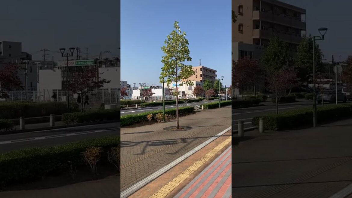 800 Shin Kamagaya, Chiba