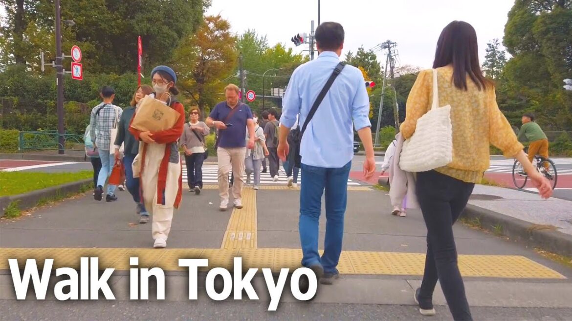 Tokyo walking tour – Aoyama and Nogizaka. Calm and serene places♪ (Nov. 2023) Tokyo walking tour - Aoyama and Nogizaka. Calm and serene places♪ (Nov. 2023)