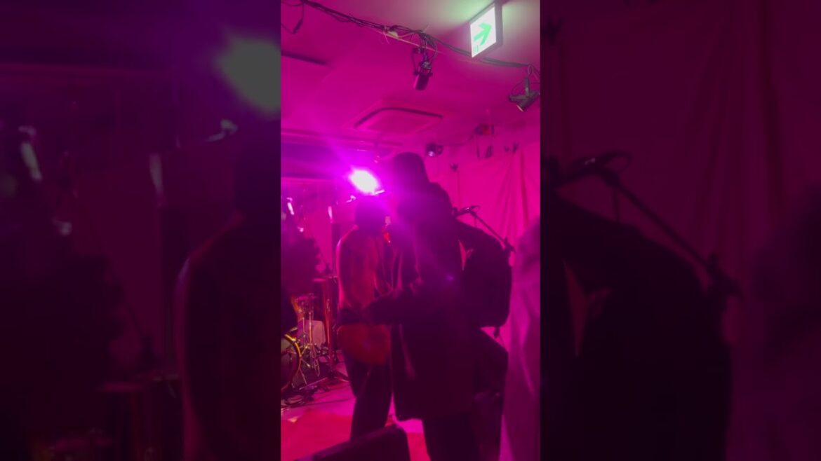 Japanese Punk Show #expedia #travel Japanese Punk Show #expedia #travel