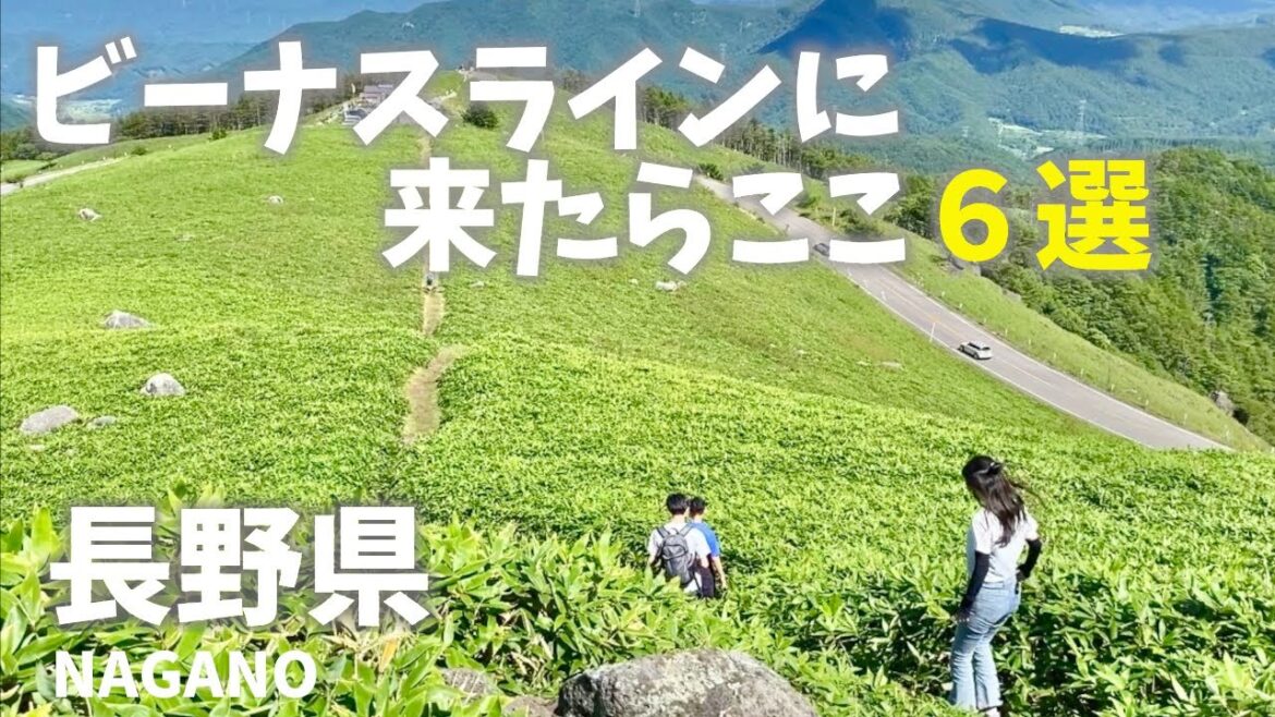 長野県ビーナスラインに来たらここ6選！観光まとめ編！If you come to Venus Line in Nagano Prefecture, come here!