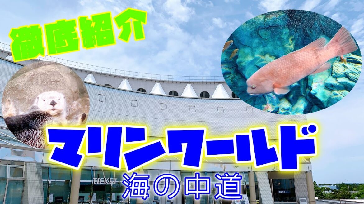 【観光】営業が再開した「マリンワールド海の中道」へ行ってきました！料金や行き方、見所などをご紹介します！
