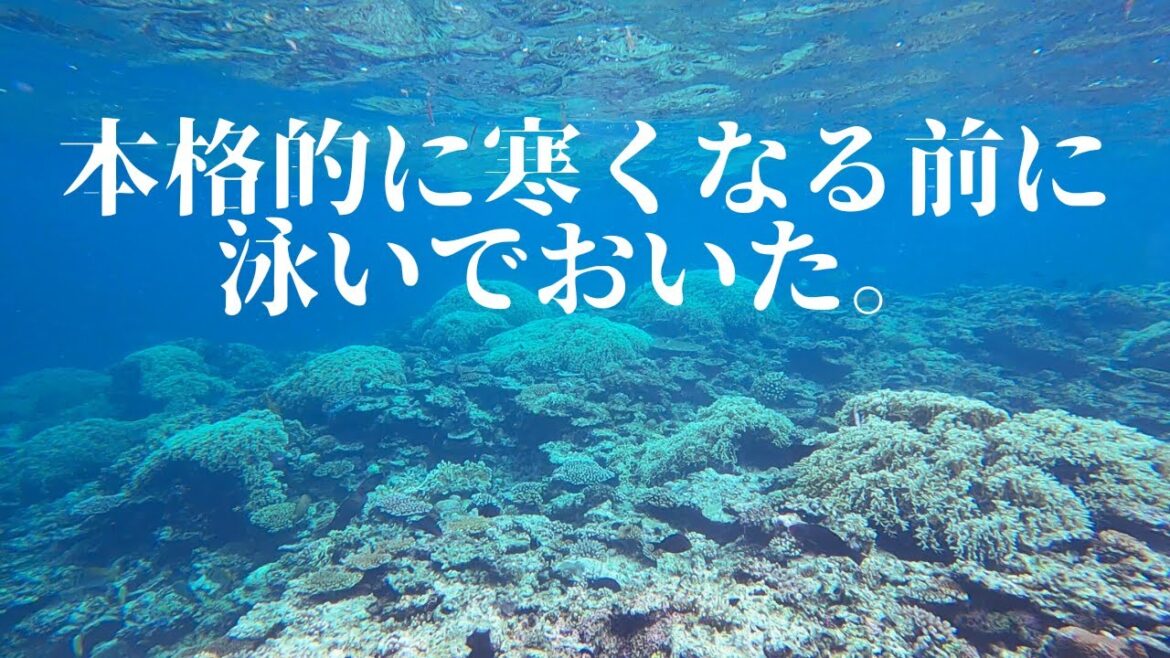 八重山諸島が本格的に寒くなる前に泳いでおいた♪ 第401話 八重山諸島が本格的に寒くなる前に泳いでおいた♪ 第401話