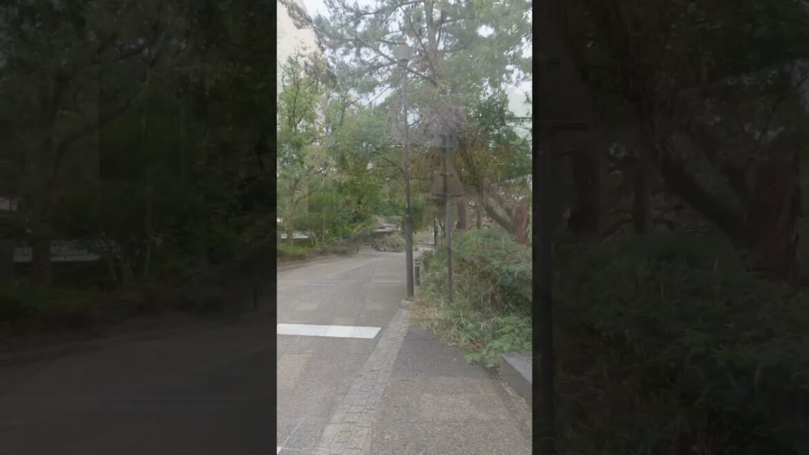 Walk around Japan #japan #japantravel #walk