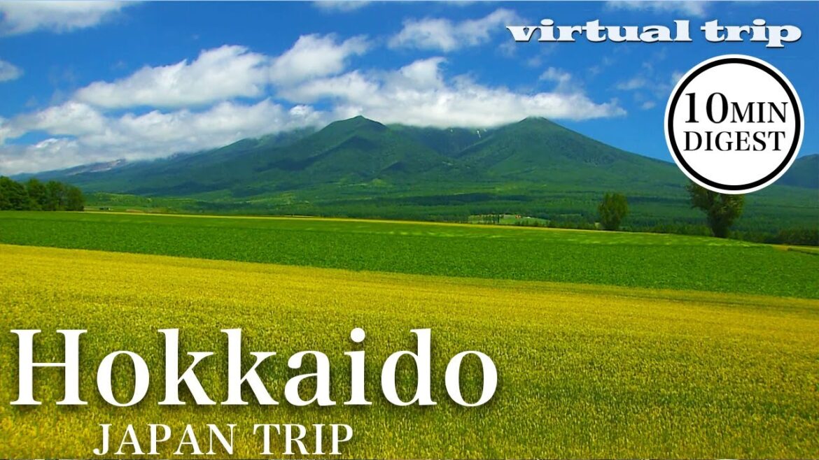 The shining season of summer visited the endlessly majestic landscapes of Hokkaido / Virtual Trip The shining season of summer visited the endlessly majestic landscapes of Hokkaido / Virtual Trip