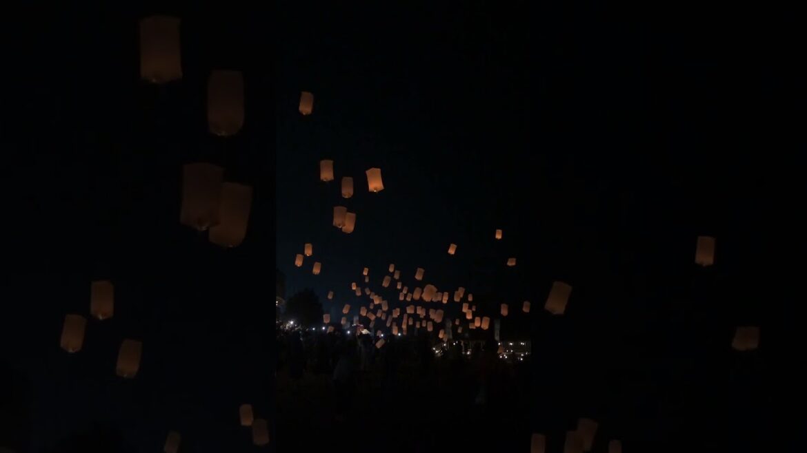 【JAPAN】Beautiful View like Tangled, Disney World