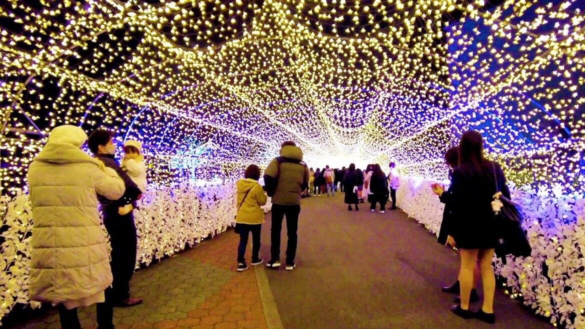 Tokyo City Horse Racing Walk ๐ Mega Christmas โช 4K ASMR Nonstop 1 hour 08 minutes Tokyo City Horse Racing Walk ๐ Mega Christmas โช 4K ASMR Nonstop 1 hour 08 minutes