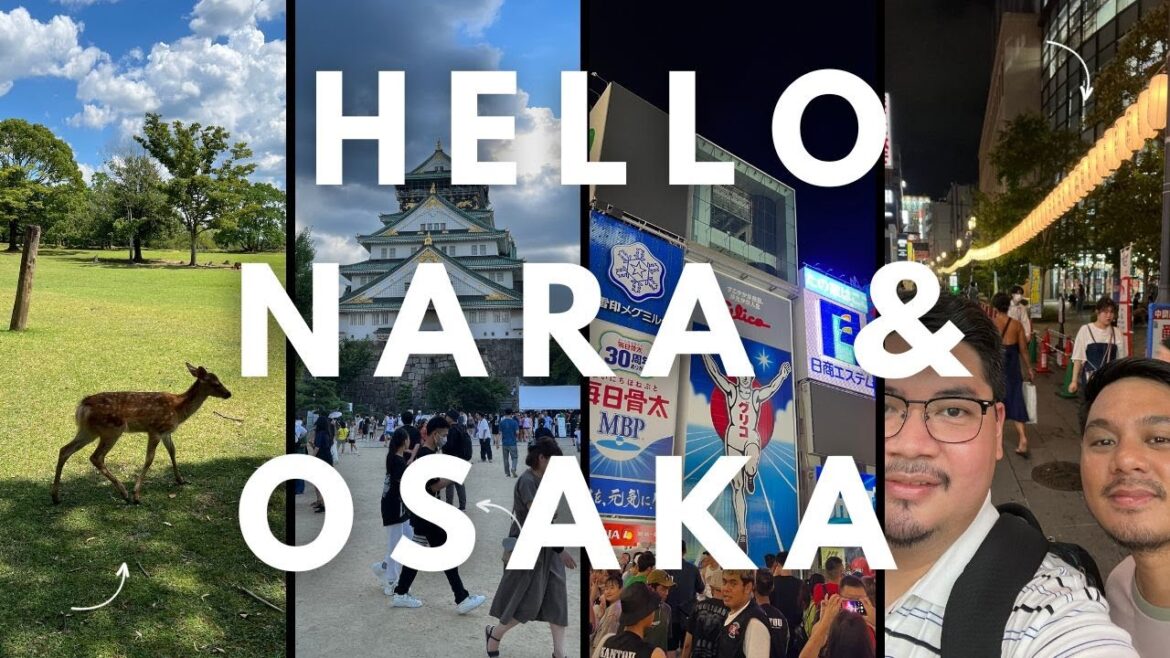 Short Trip to Nara & Osaka – Nara Deer Park | Kasuga Taisha Shrine | Osaka Castle | Dohtonburi Short Trip to Nara & Osaka - Nara Deer Park | Kasuga Taisha Shrine | Osaka Castle | Dohtonburi
