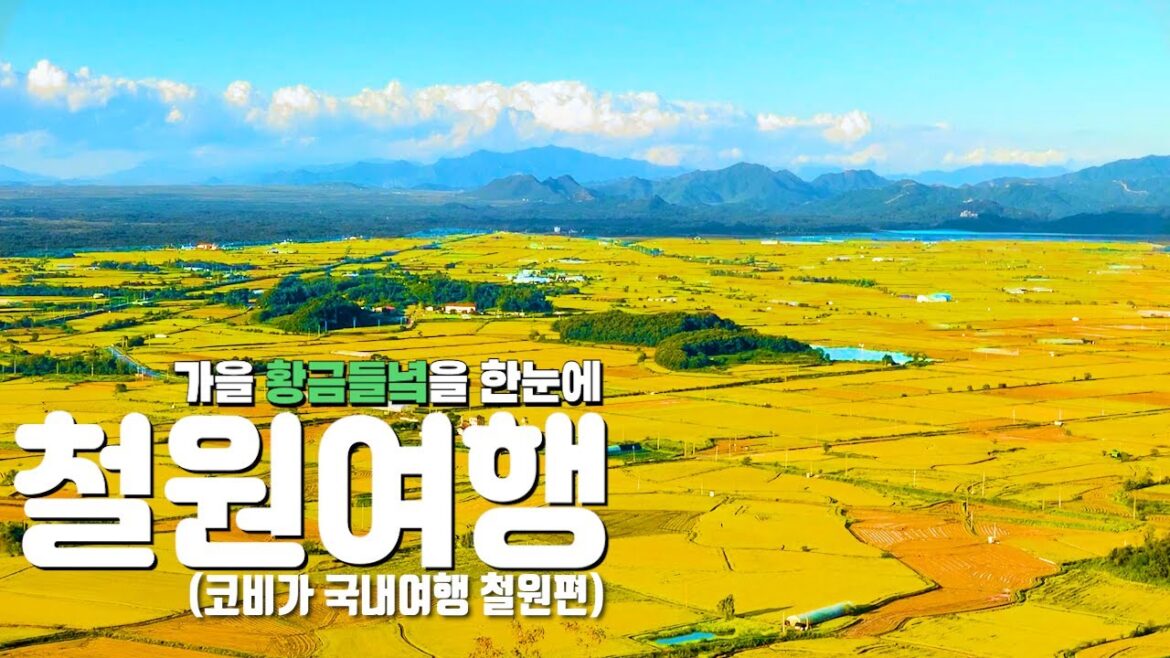 철원을 간다고?? 언택트 여행지 철원여행 당일치기 국내여행지 추천 랜선여행 철원을 간다고?? 언택트 여행지 철원여행 당일치기 국내여행지 추천 랜선여행