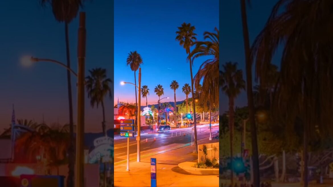 Sunset View Los Angeles #shorts #sunset #travel #california