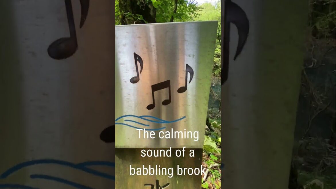 Hiking in Japan’s pristine Shirakami Mountains  #aomori #travel #nature #worldheritage #lake Hiking in Japan's pristine Shirakami Mountains  #aomori #travel #nature #worldheritage #lake