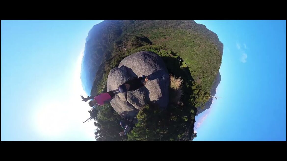 Yakushima - Shiratani Unsuikyou Taikoiwa Trail 2023 🇯🇵