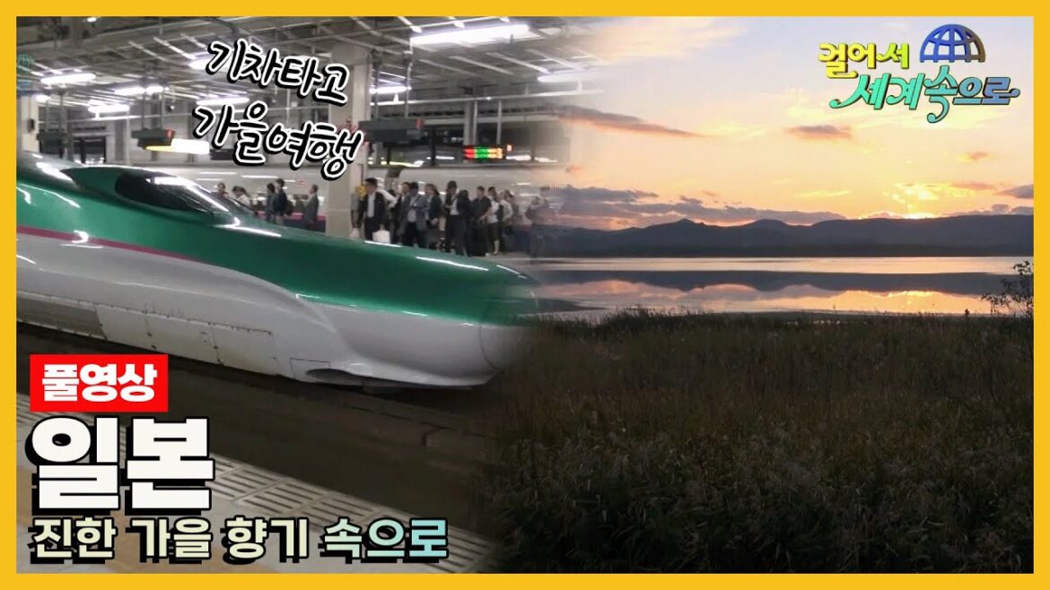 [#걸어서세계속으로Full📺] 일본 감성영화의 촬영지를 따라 가을의 진한 향기 속으로 빠질 수 있는 곳 '일본' 여행 Trip to Japan (KBS_20141025)