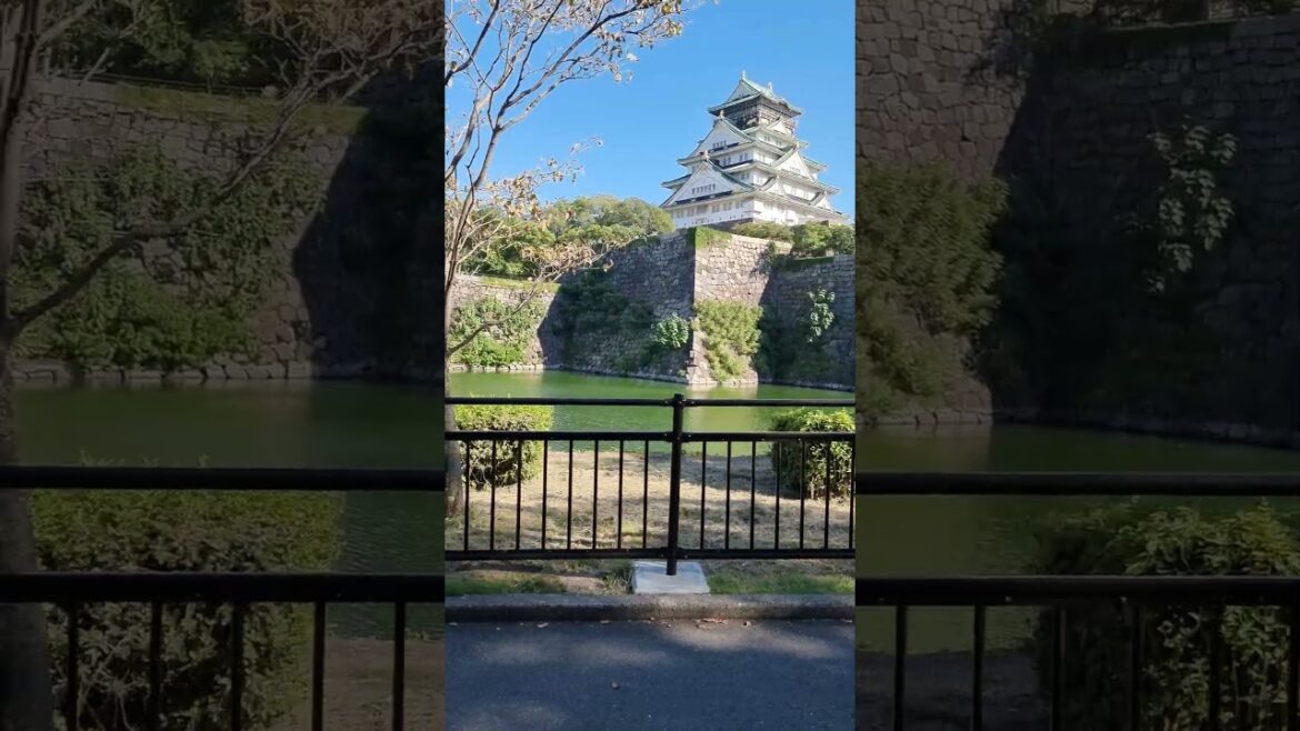 Japan Osaka Castle 大阪城  #japan #osaka #travel #日本 #旅行 #shorts