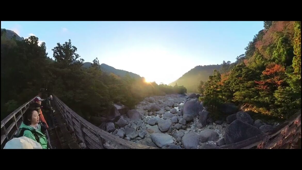 Yakushima - Jomonsugi Trail 2023 🇯🇵