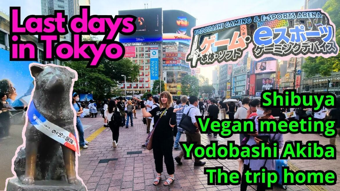 Last days in Tokyo Last days in Tokyo