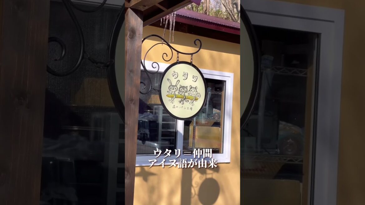 物置小屋リノベーションで誕生した森のパン屋ウタリ #shorts 物置小屋リノベーションで誕生した森のパン屋ウタリ #shorts