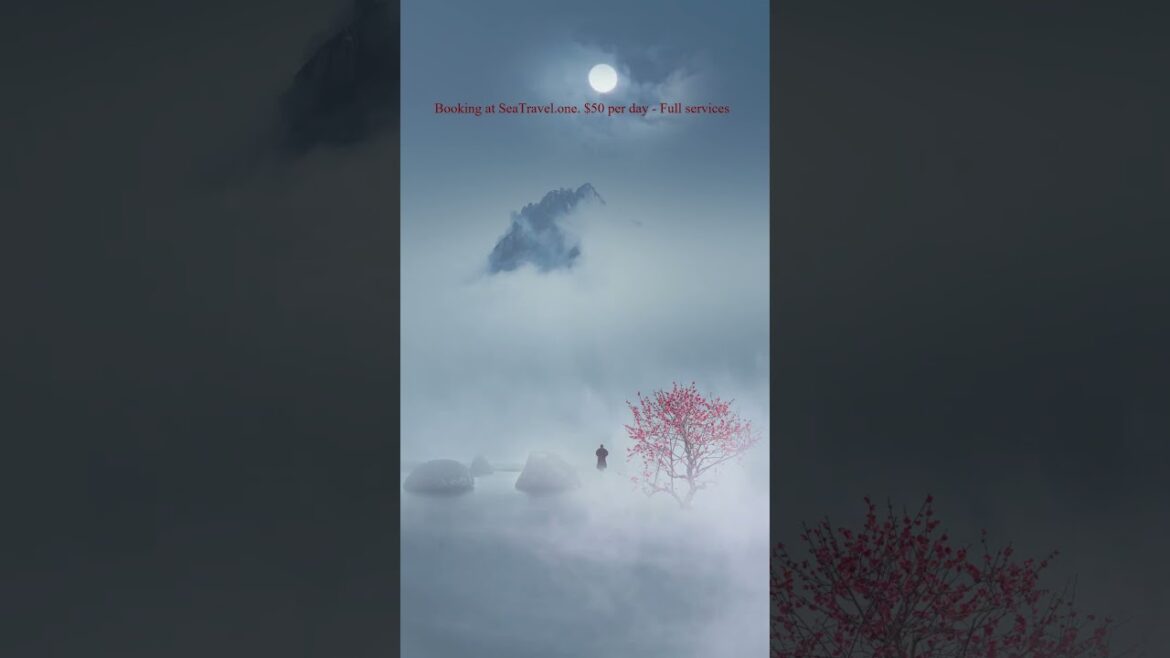 ✈ SeaTravel.one: Cheapest Asia Tours #asiatour #asiatravel #travelvlog #cheaptravel #cheaptours ✈ SeaTravel.one: Cheapest Asia Tours #asiatour #asiatravel #travelvlog #cheaptravel #cheaptours