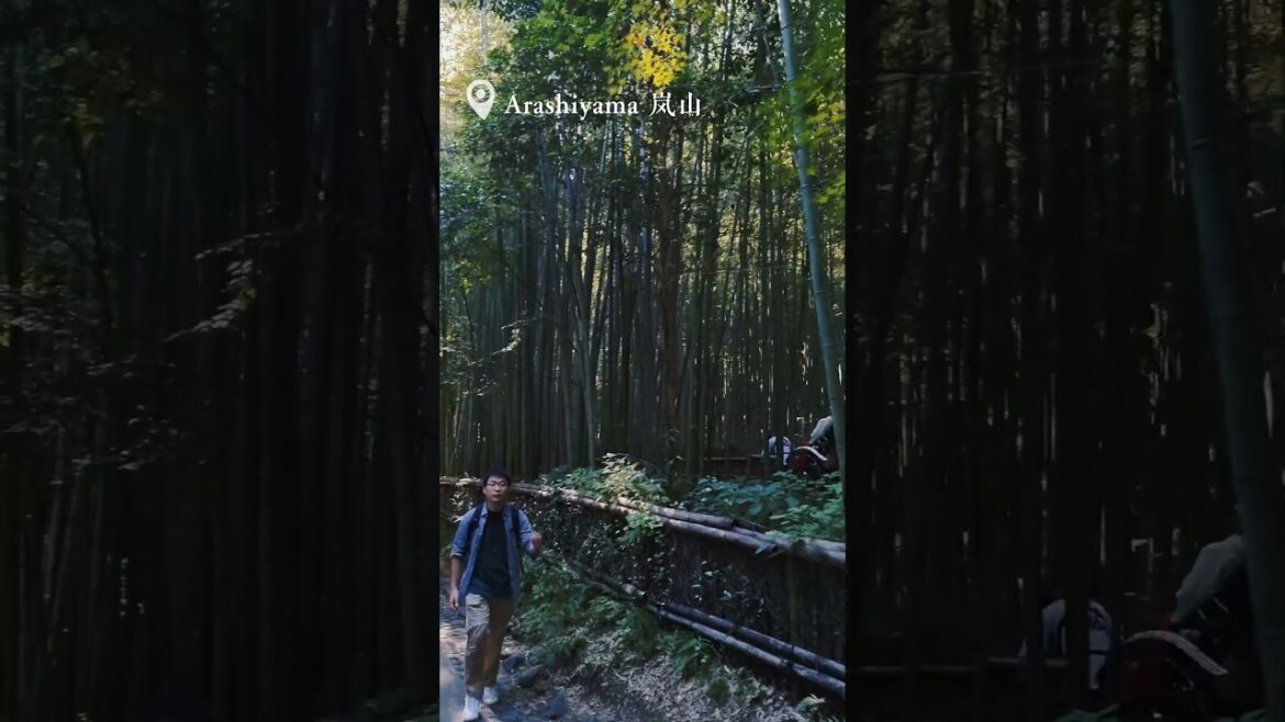 How you rate Kyoto Togetsukyo Bridge (渡月桥) and Arashiyama (岚山) #japan #kyoto #travel #shorts