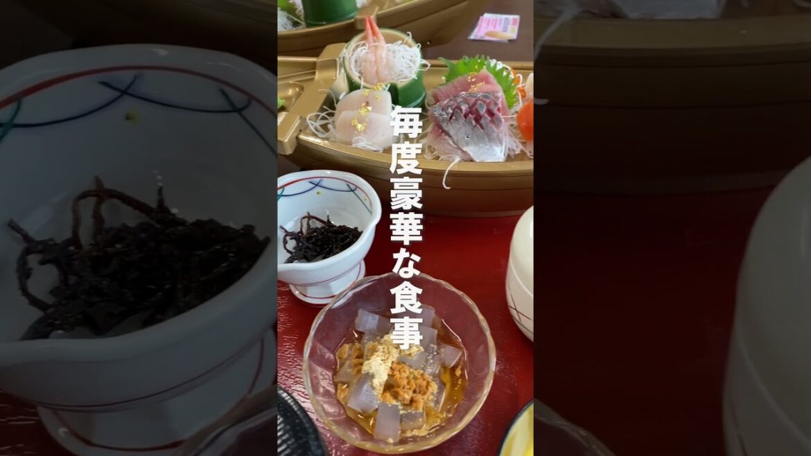 社員旅行に行ってきました！in静岡【美里オーストリッチファーム】#shorts