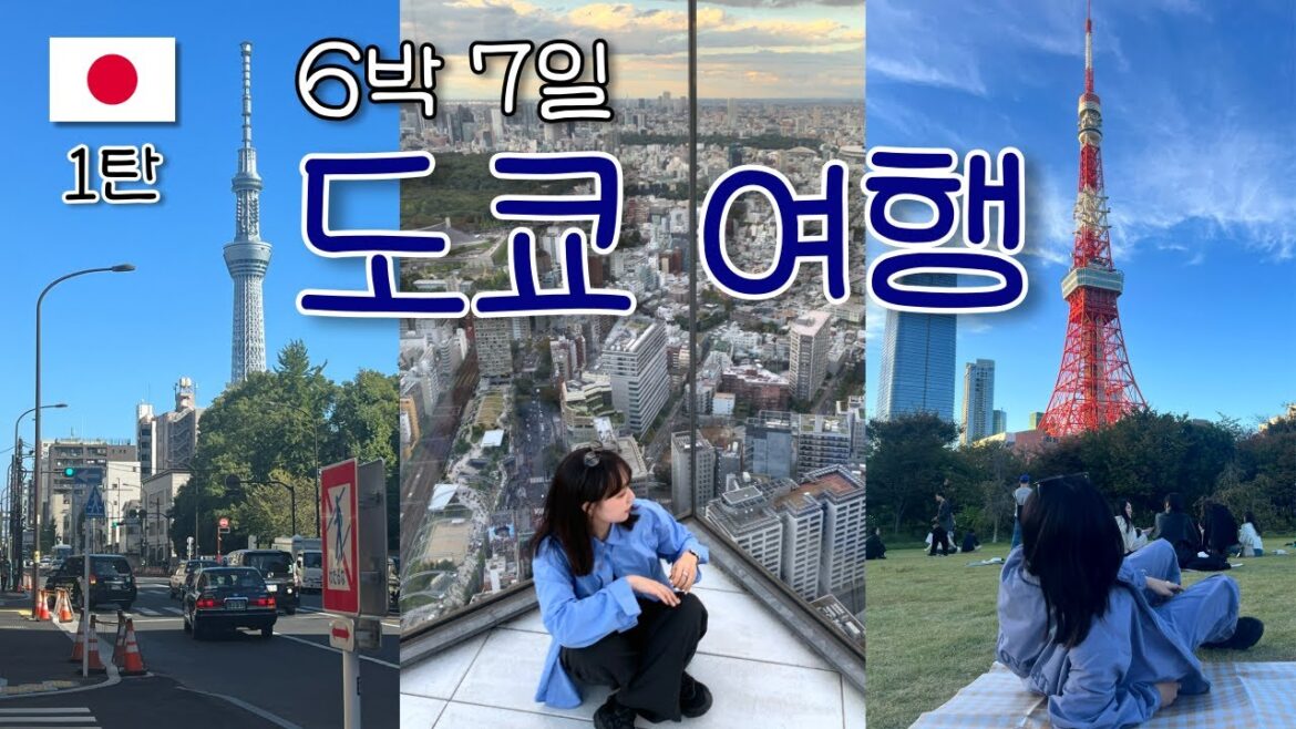 🇯🇵 매일 2만보 넘게 걸어다닌 6박 7일 도쿄 여행 (1)🗼 |브이로그|시부야스카이|센소지|시바공원|도쿄타워|모스버거|스즈키엔|야끼니꾸|Tokyo