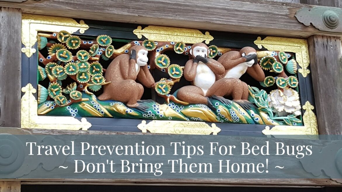 Travel Prevention Tips For Bed Bugs - Don't Bring Them Home!