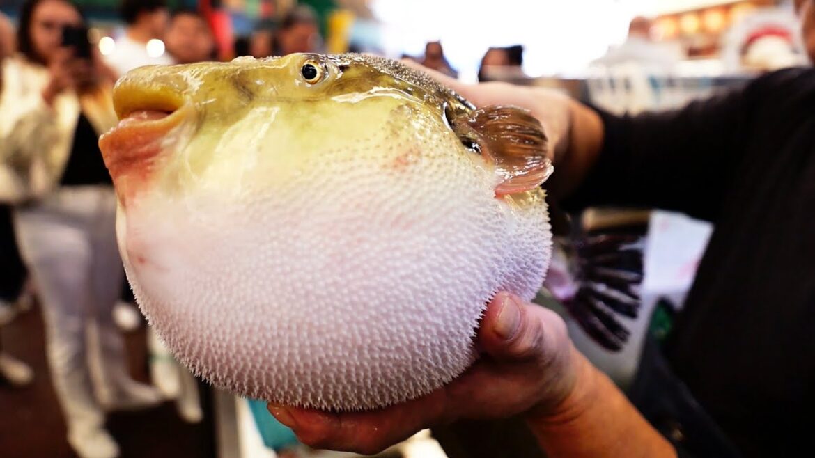 Japanese Street Food - ONE FUGU TO GO! Osaka Seafood Japan