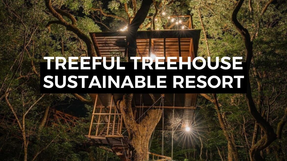 Discover the Magic of Treeful Treehouse Sustainable Resort – Japan’s Hidden Gem! Discover the Magic of Treeful Treehouse Sustainable Resort - Japan's Hidden Gem!