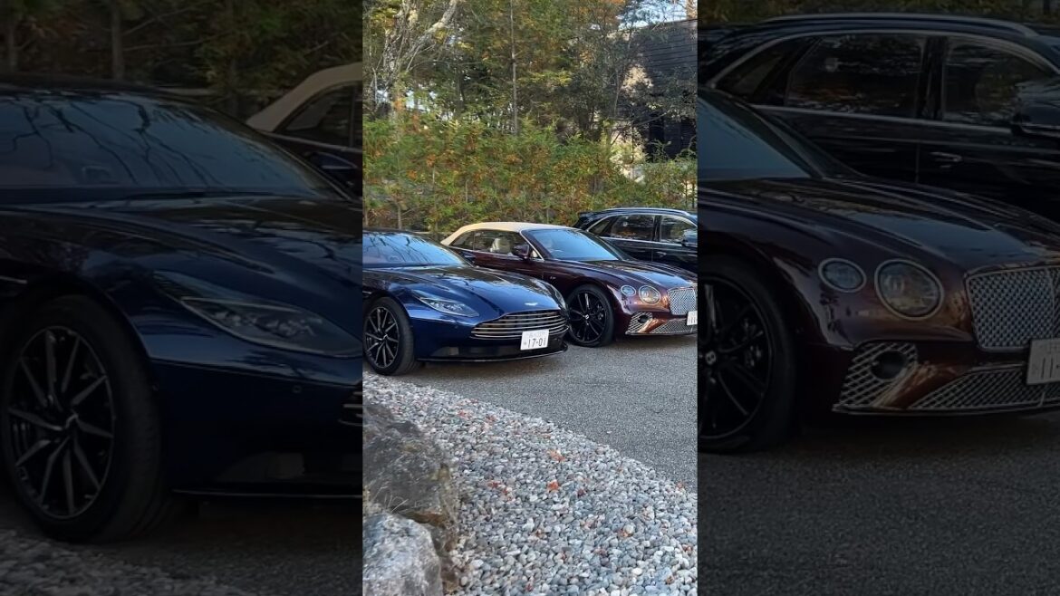 Insane Car Line Up at the most luxurious hotel in Japan #shorts #luxurytravel #automobile #bentley Insane Car Line Up at the most luxurious hotel in Japan #shorts #luxurytravel #automobile #bentley