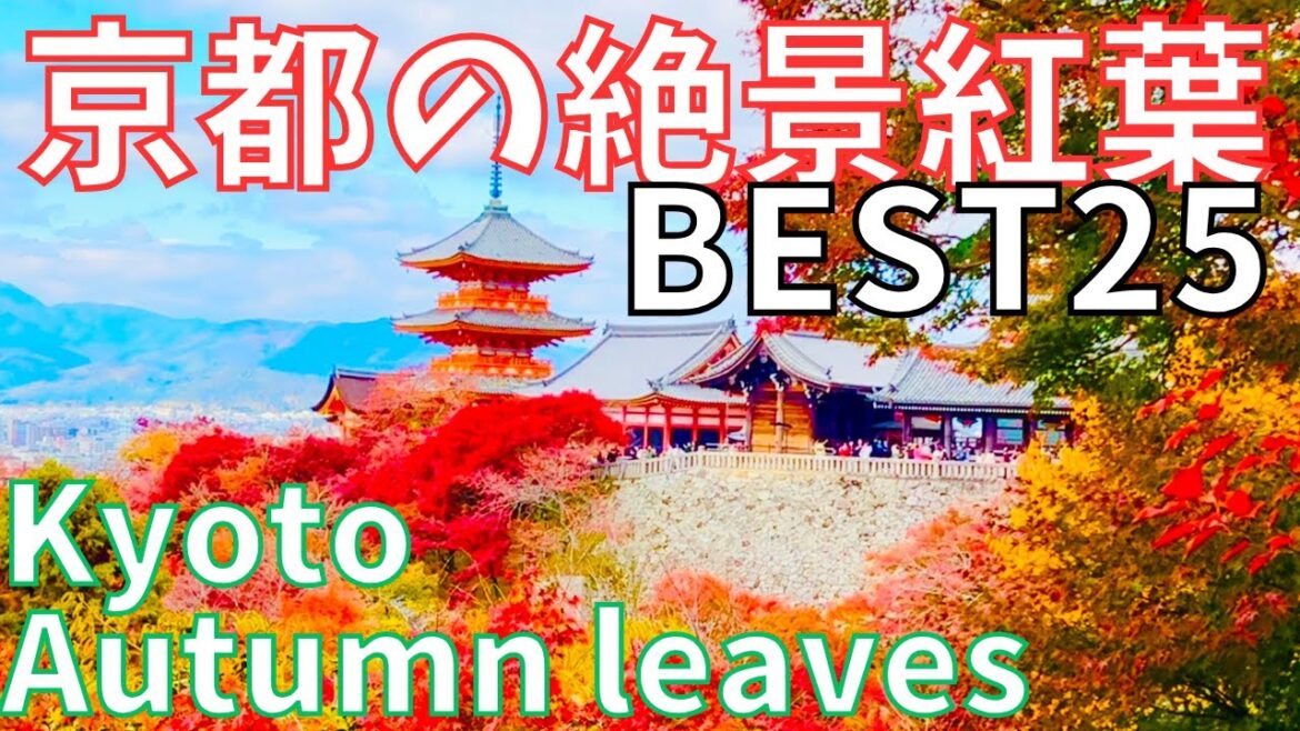 🍁Great view❗Autumn leaves in  Kyoto Japan🍁BEST25🍂絶景⛩️京都の紅葉