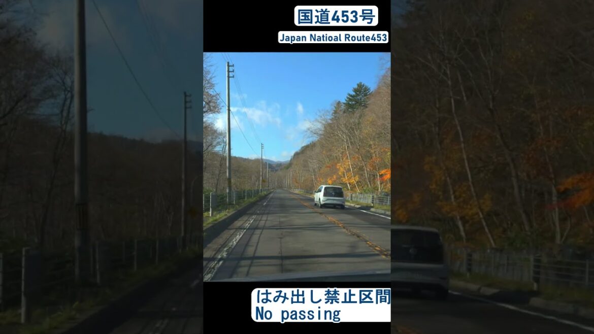 私の速度に我慢ができなかった車は、はみ出して追い越す （国道453号 はみ出し禁止区間）[恵庭市]