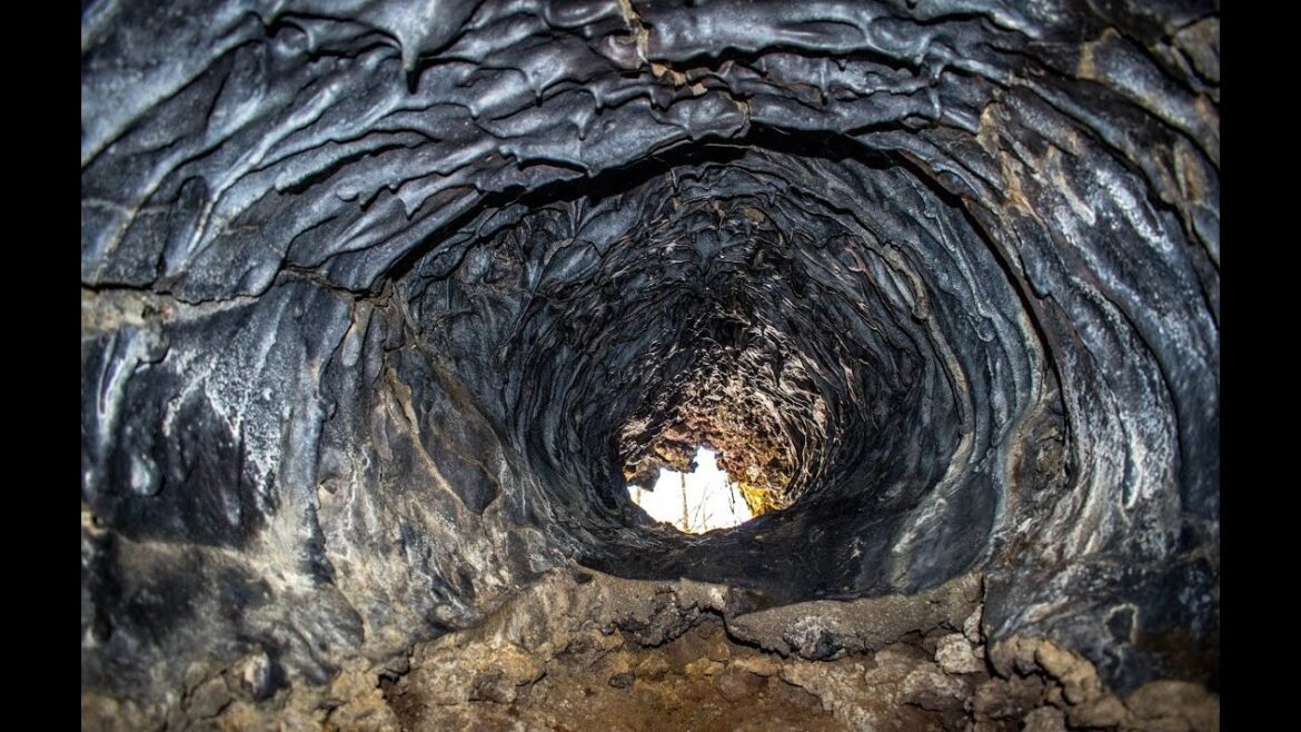 Dumping bodies??? Aokigahara -  Is Japan's suicide forest used for covering evidence?