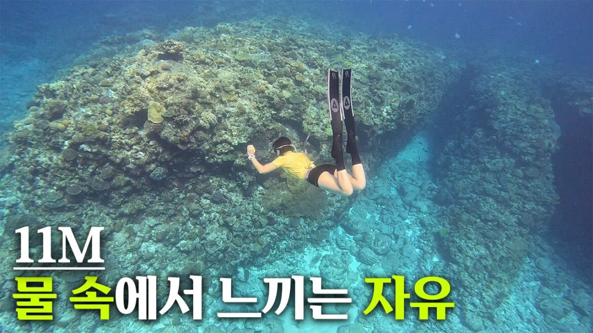 🇯🇵 오키나와 바다 vs 물에 미친 사람들이 만난다면? | 카메라만 보면 도망가는 프리다이버가 물에서 노는 방법 | Okinawa freediving tour