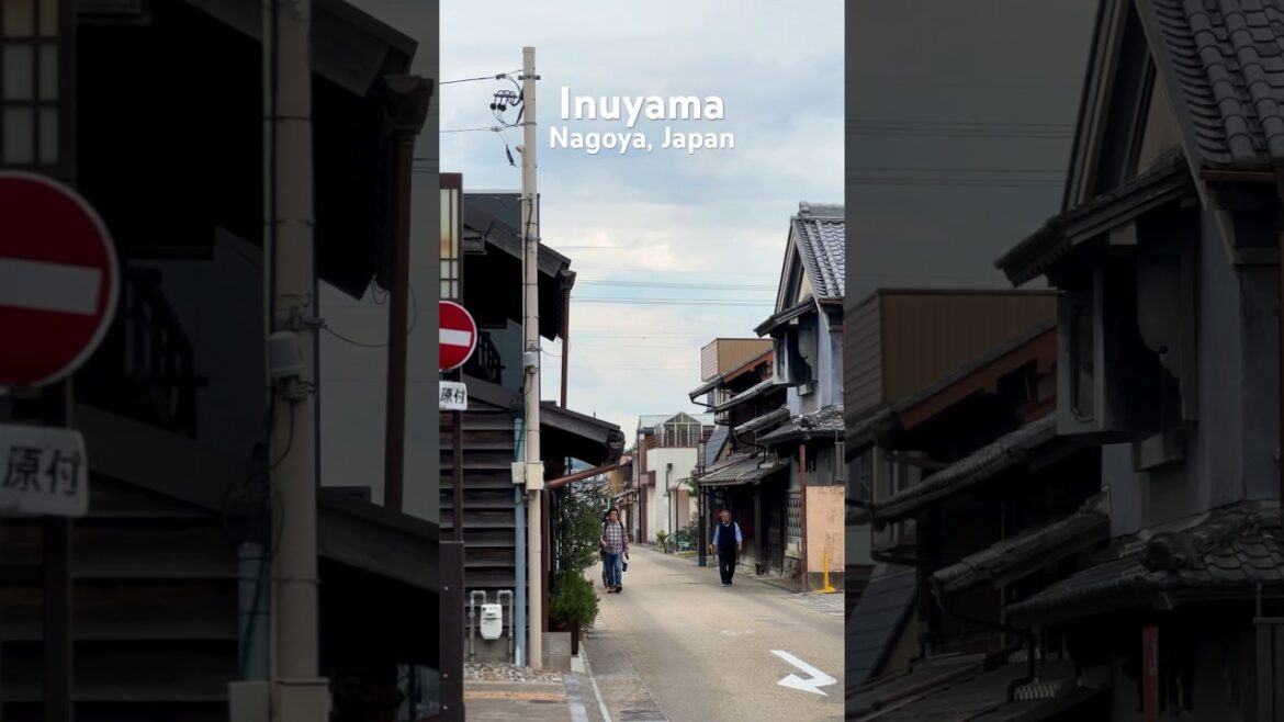 나고야 근교 여행 추천 이누야마(inuyama 犬山)